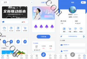 25年全新精品源码海外多语言 定制版抖音刷单系统 抖音抢单刷单源码 手动自动抢单 UI PHP