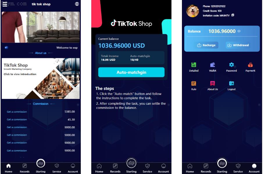 2025版商业运营全新源码：多语言TIKTOK刷单、海外抢单策略及独家打针技术