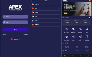 二次开发/海外APEX新UI多语言微盘外汇系统/时间盘微盘源码