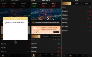 二次开发/海外ERATRDE多语言微交易系统/外汇虚拟币贵金属微盘源码/新增群控单控/前端vue