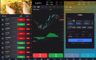 二次开发/新框架/修复版微交易源码/虚拟币理财系统/微盘交易系统/K线正常