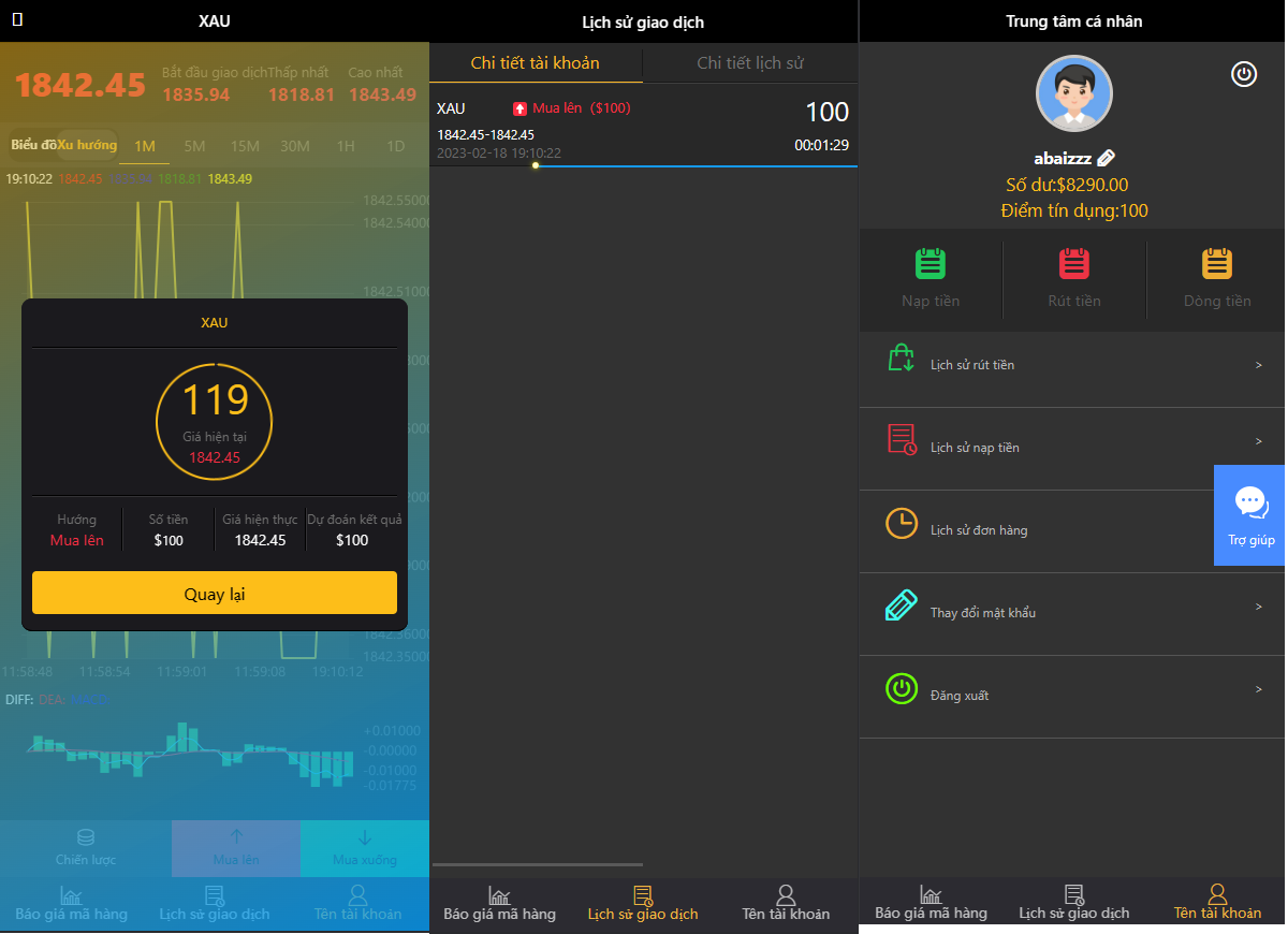重铸越南语言微盘源码/汇汇通源码/最新运营版 - 图2
